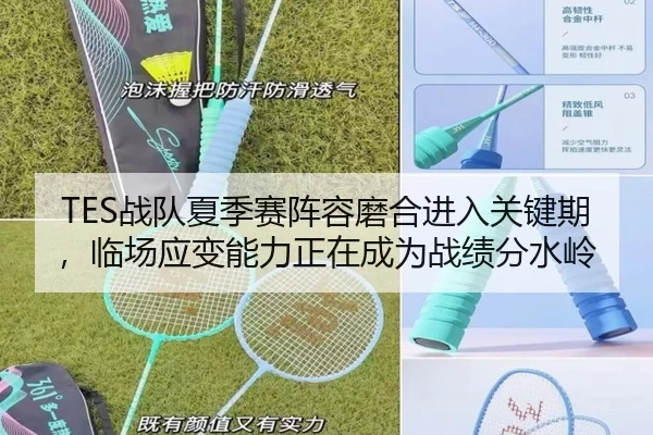 TES战队夏季赛阵容磨合进入关键期，临场应变能力正在成为战绩分水岭
